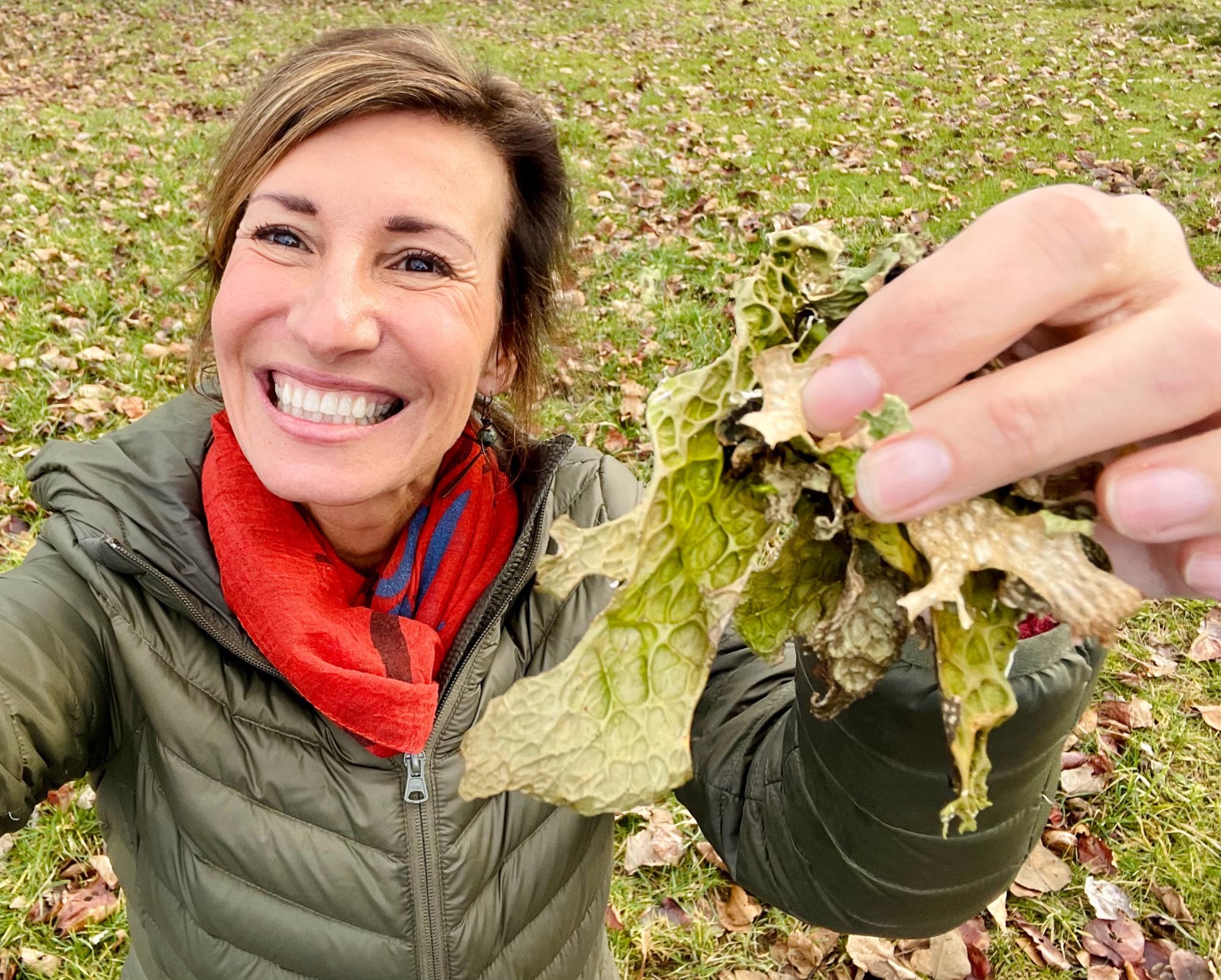 The Fascinating World of Lichens: A Hidden Treasure for Your Health
