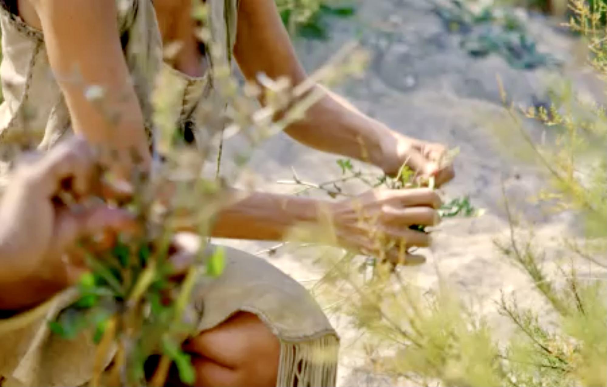 Nicole Apelian foraging Nicole Apelian foraging