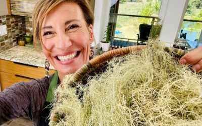 Dual-Extraction: The Secret to Getting the Most Out of Your Mushrooms and Lichens