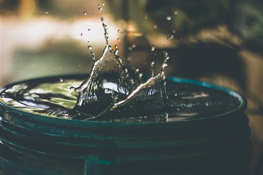collecting water in a rain barrel