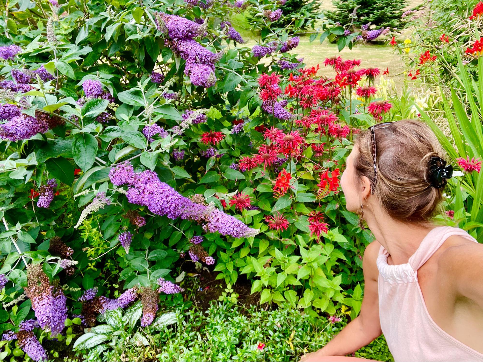 Best Methods for Attracting Pollinators into Your Garden Space (It’s Easier Than You May Think)