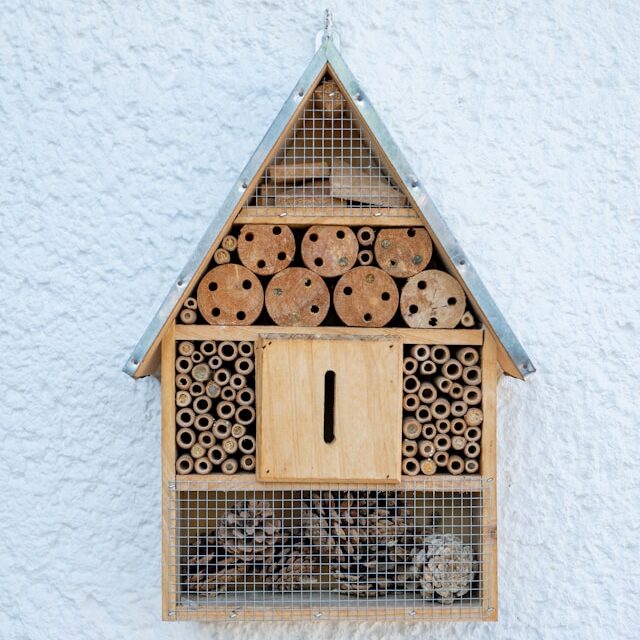 mason bee house mason bee house