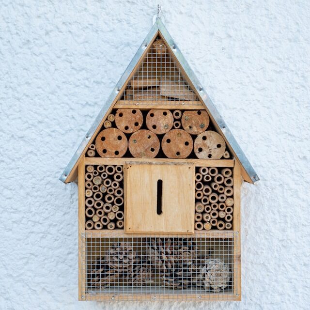 mason bee house