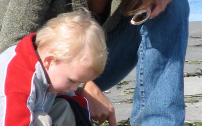 Study Finds Autism, ADHD, & Emotional Dysregulation in Children Linked with Maternal Inflammation