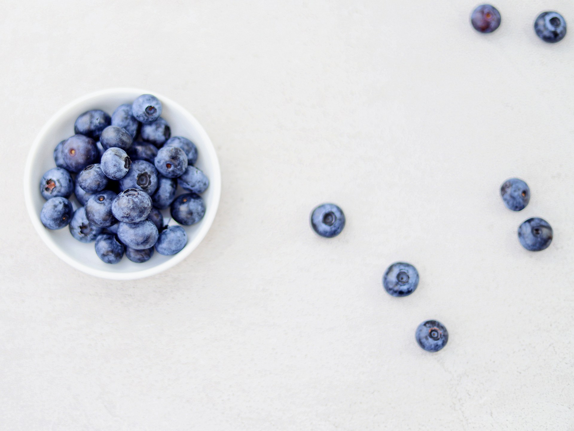 blueberries in a bowl blueberries in a bowl