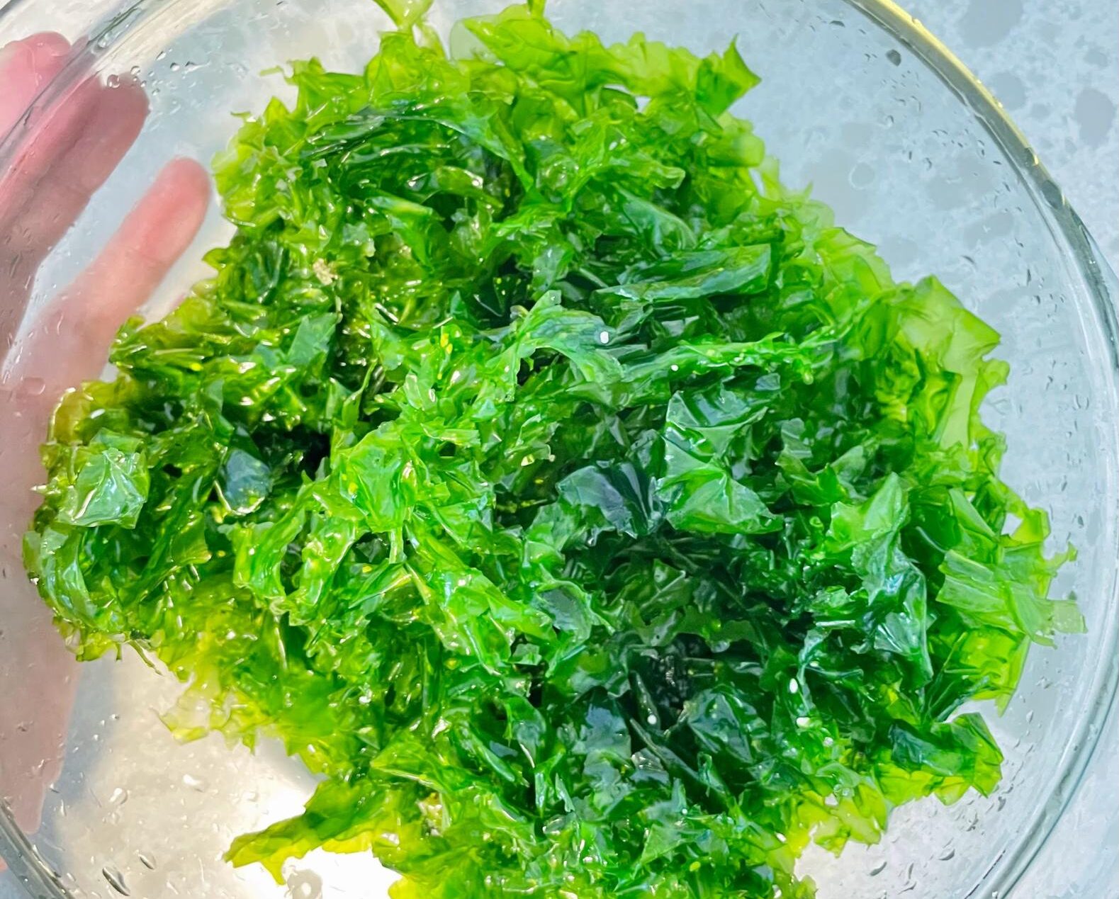 bowl of bright green seaweed bowl of bright green seaweed