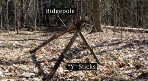 debris shelter step 1