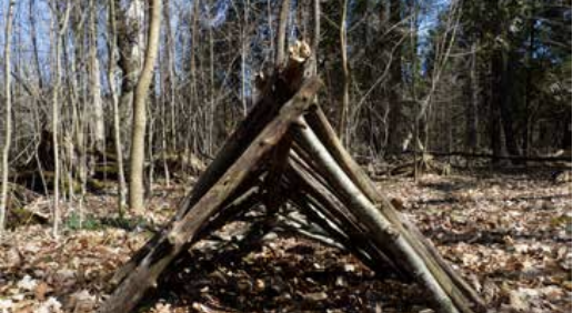 debris shelter step 2