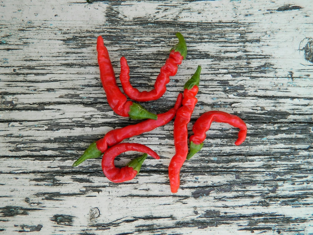 cayenne pepppers on whitewashed background cayenne pepppers on whitewashed background