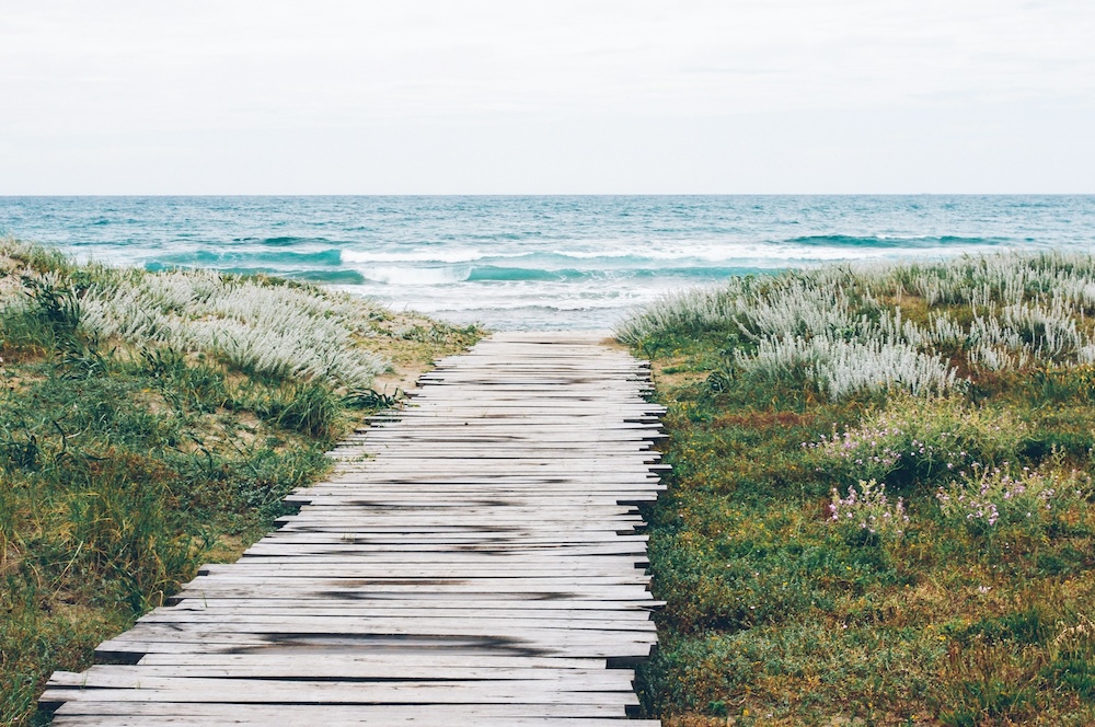 path to beach path to beach