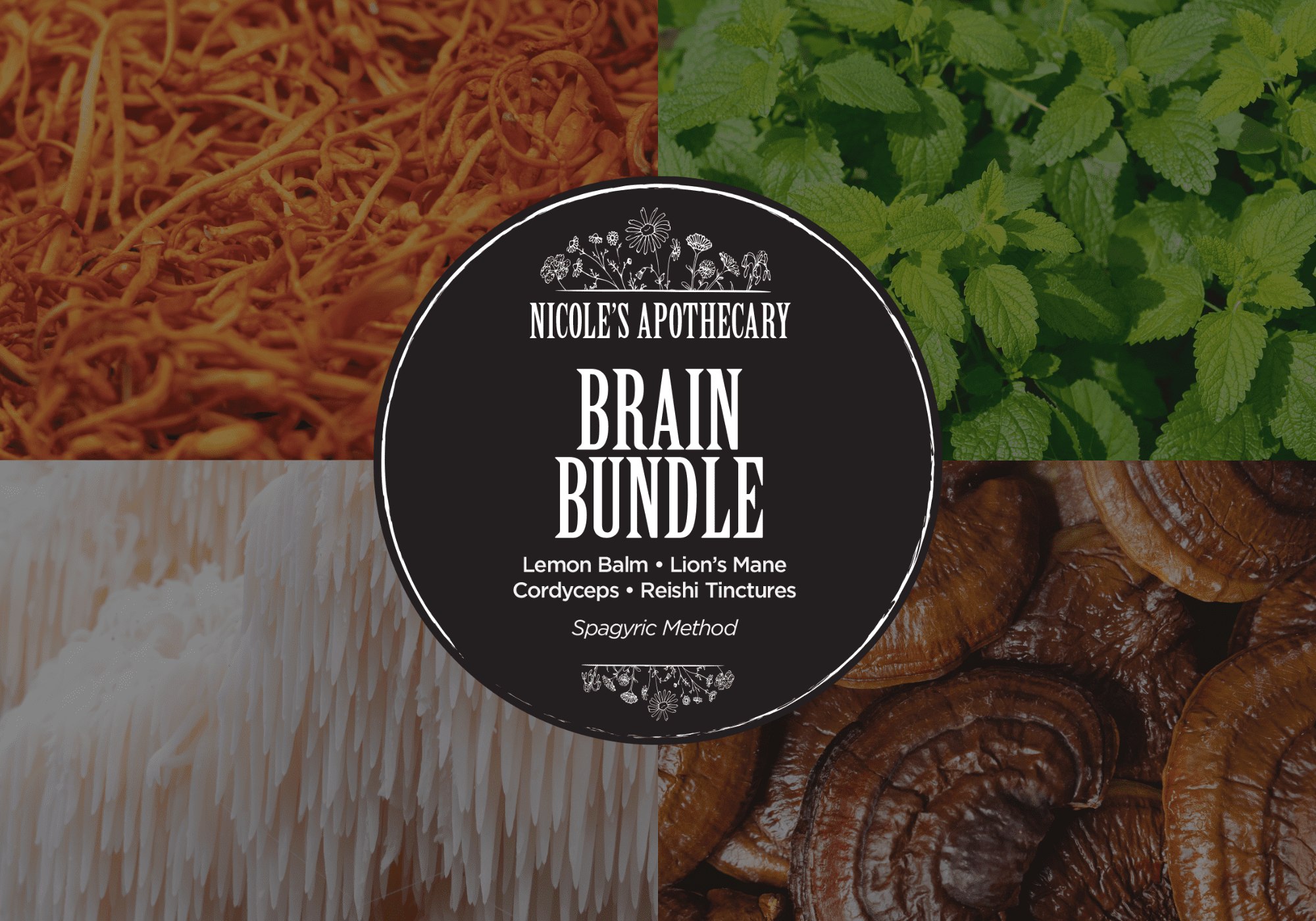 Nicoles Apothecary Brain Bundle graphic Nicoles Apothecary Brain Bundle graphic