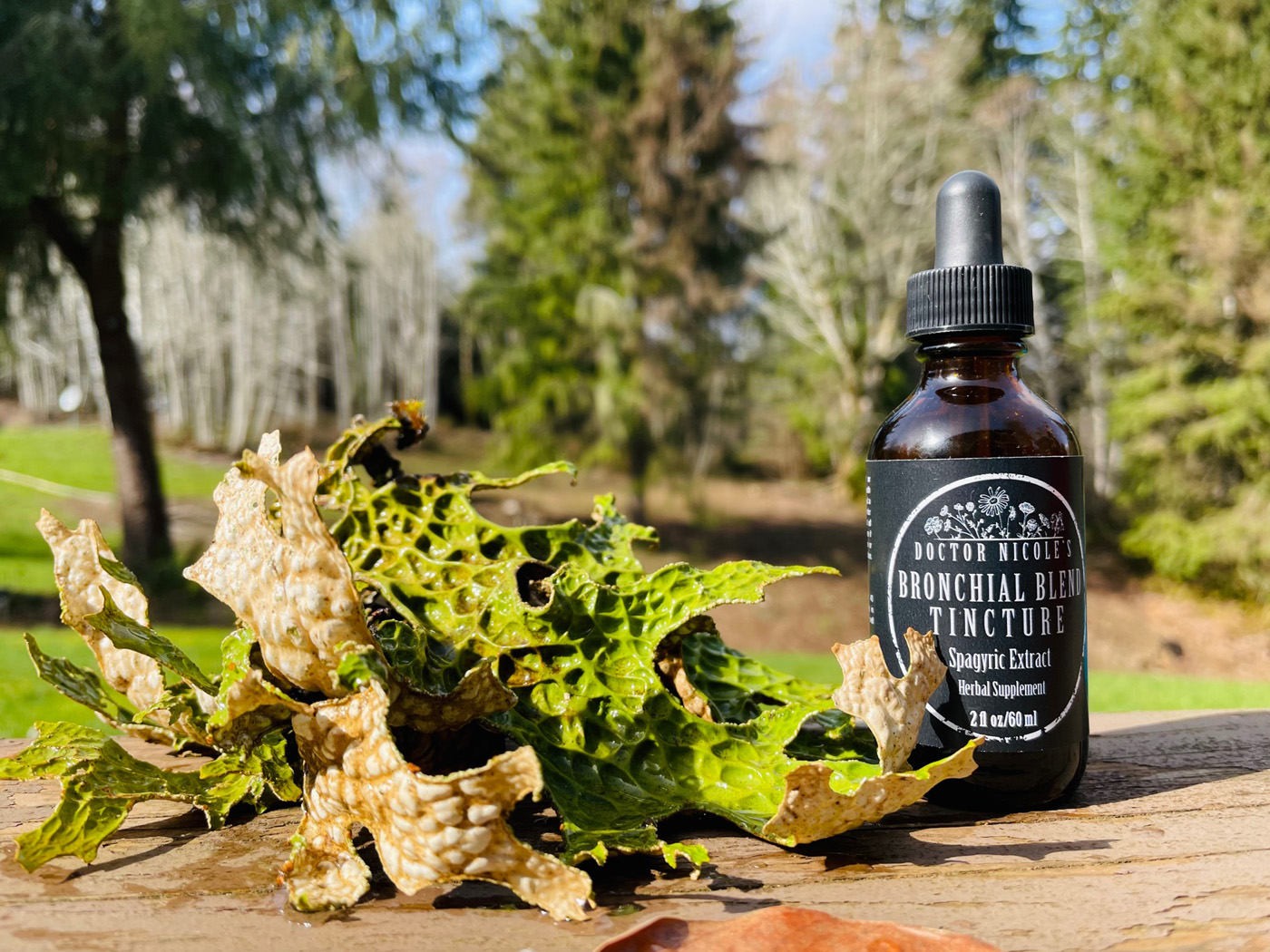 Nicoles Apothecary Bronchial Blend Tincture and lungwort lichen