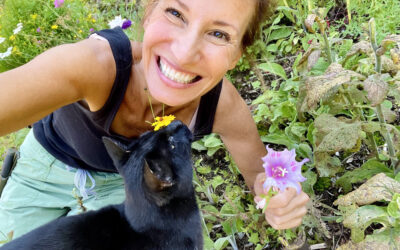 Here’s How to Defeat Sugar Cravings Once and For All