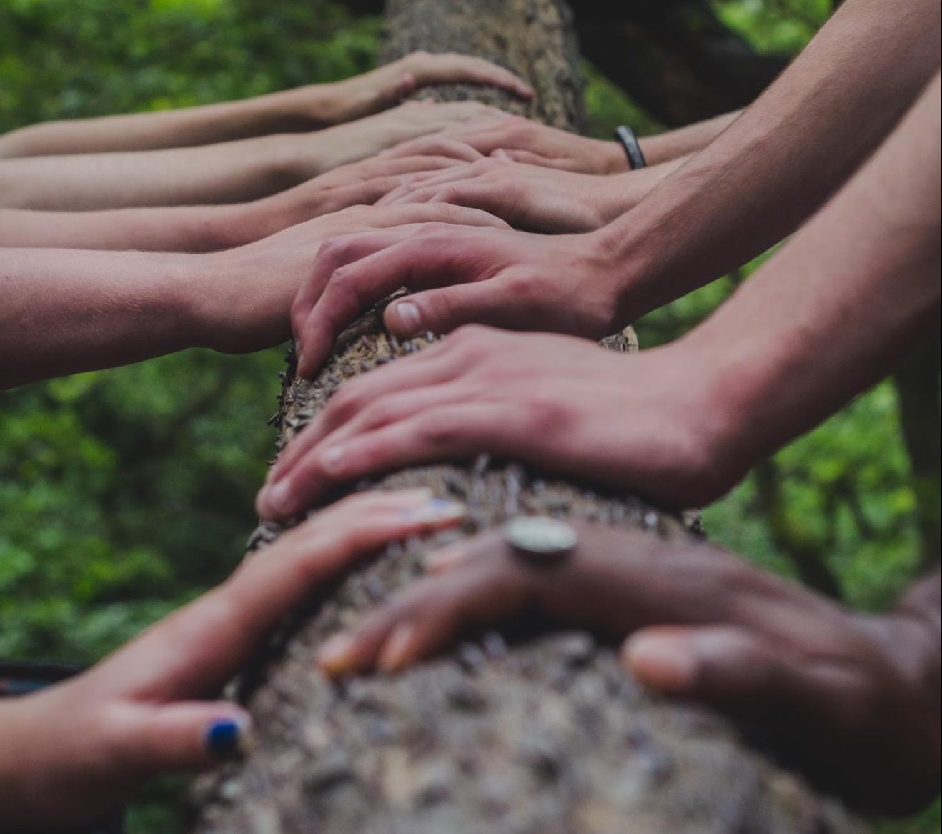 many hands on tree trunk