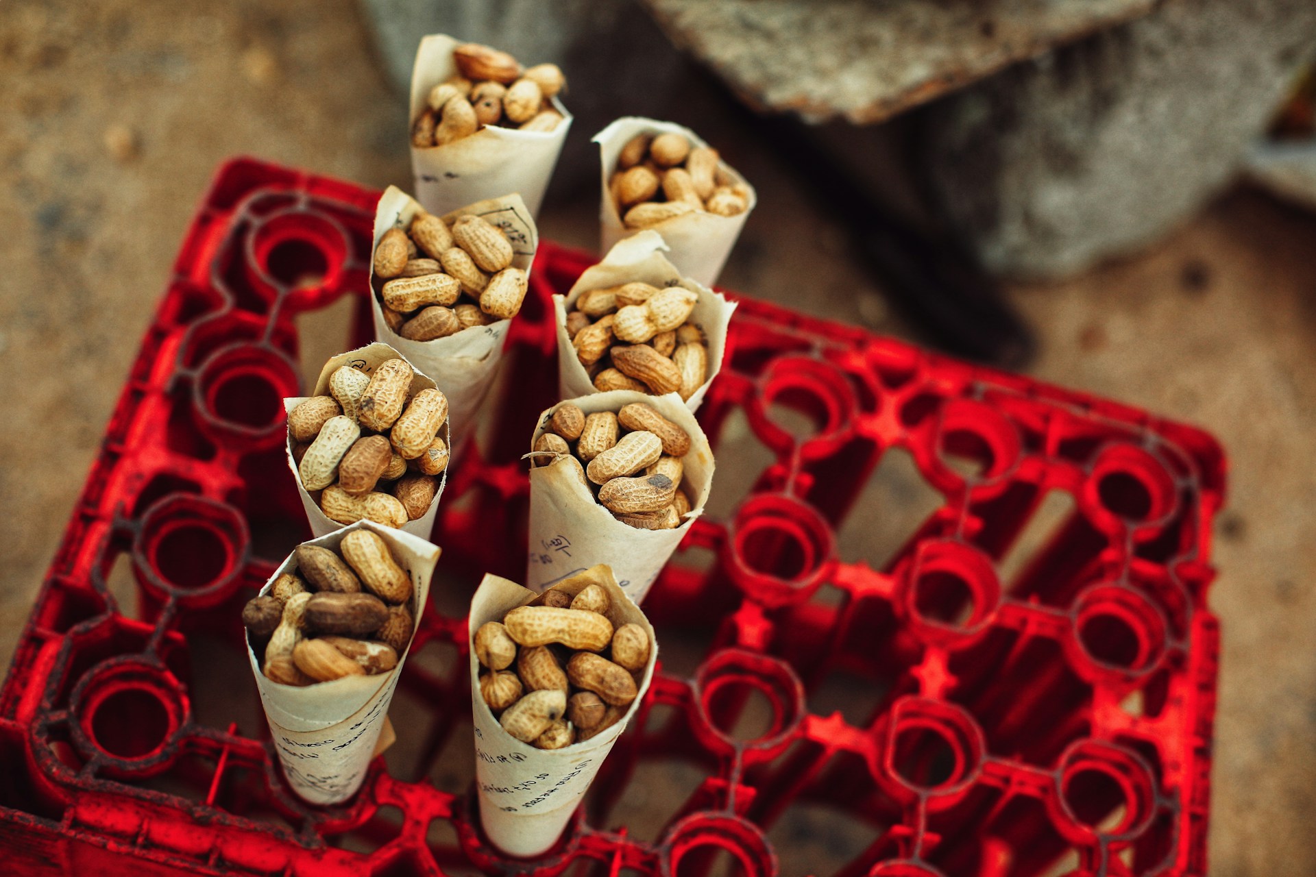 peanuts in paper cones peanuts in paper cones