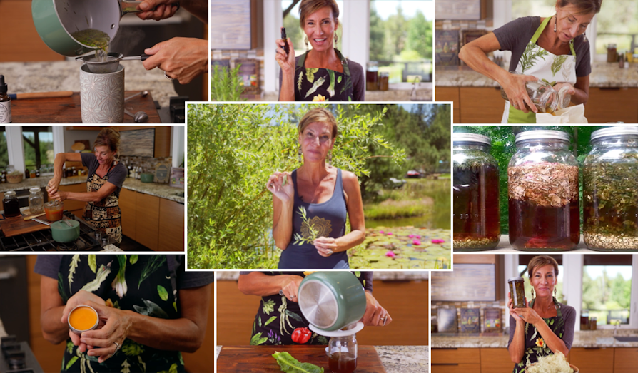 Nicole Apelians Lost Remedies Herbal Academy Nicole Apelians Lost Remedies Herbal Academy