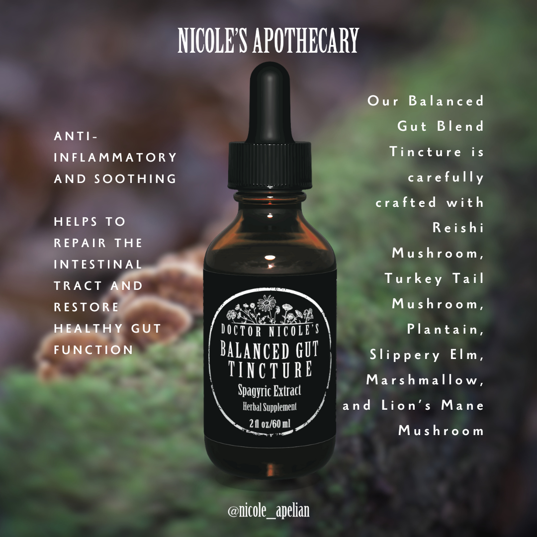 Nicoles Apothecary Balanced Gut Health infographic