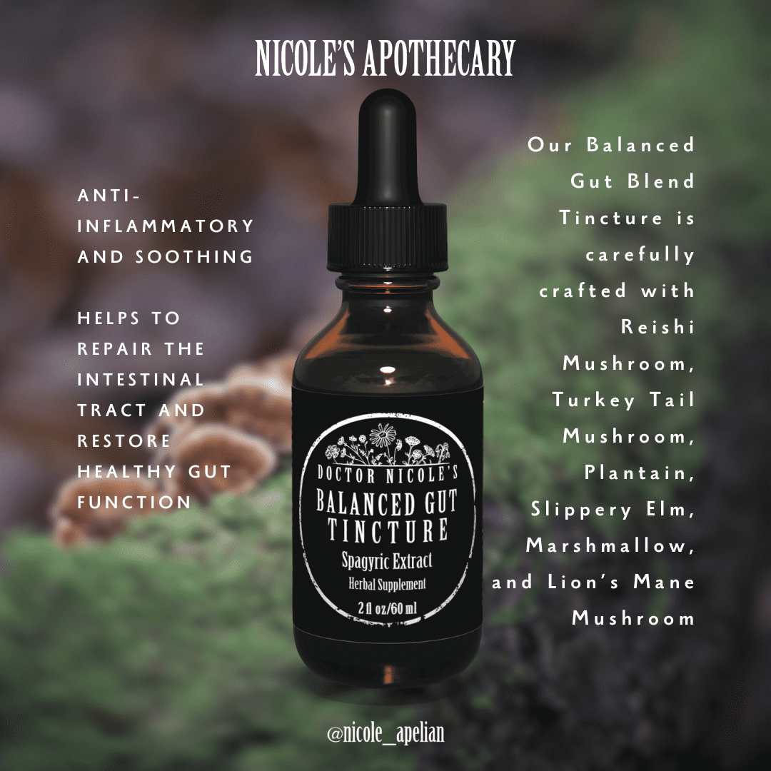 Nicoles Apothecary Balanced Gut Health infographic