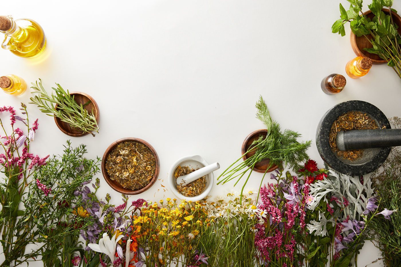 apothecary array of dried herbs