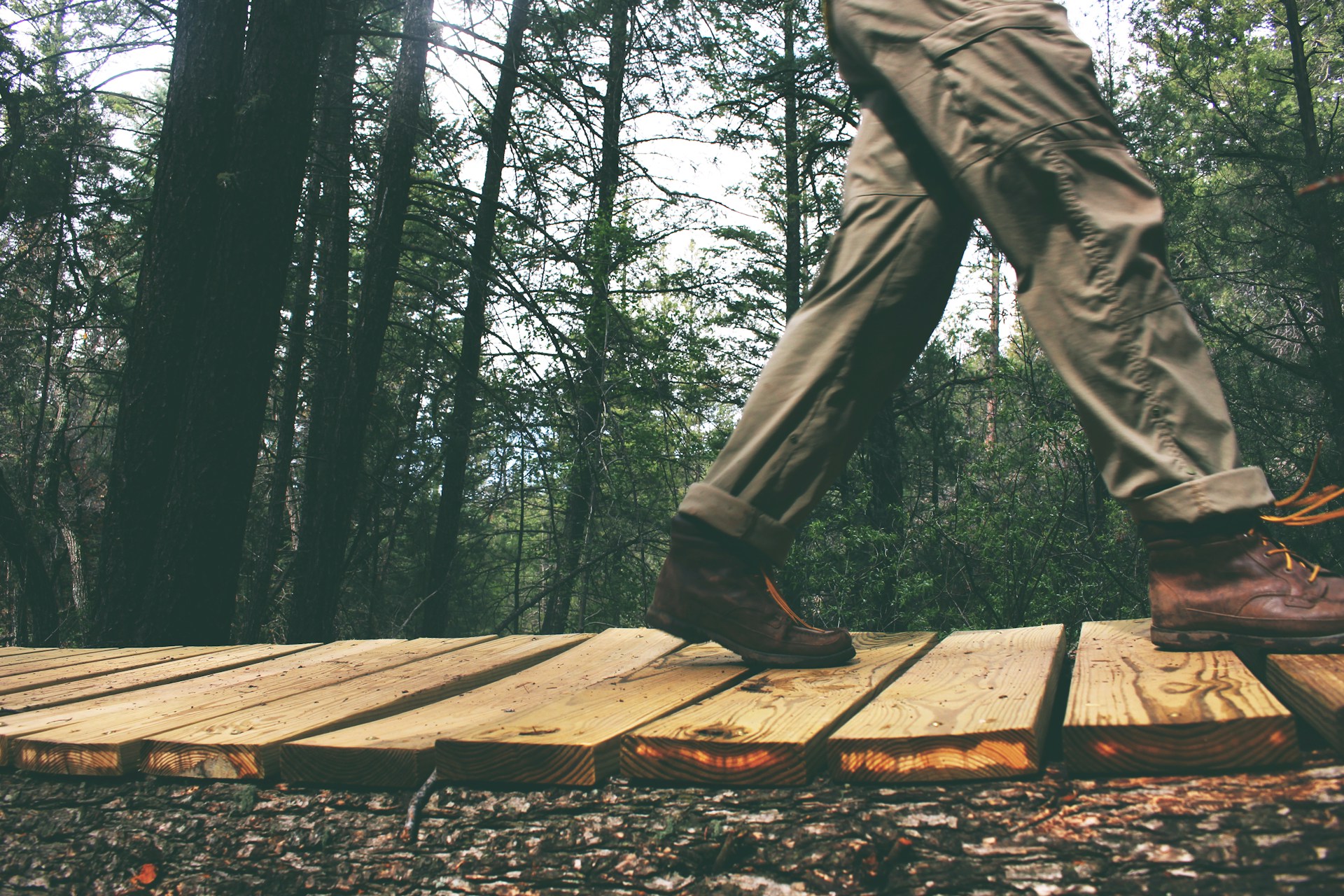 walking a wood plank trail walking a wood plank trail