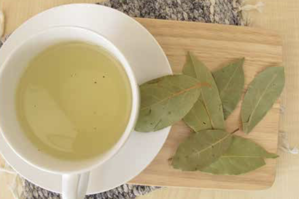 bay leaf water bay leaf water