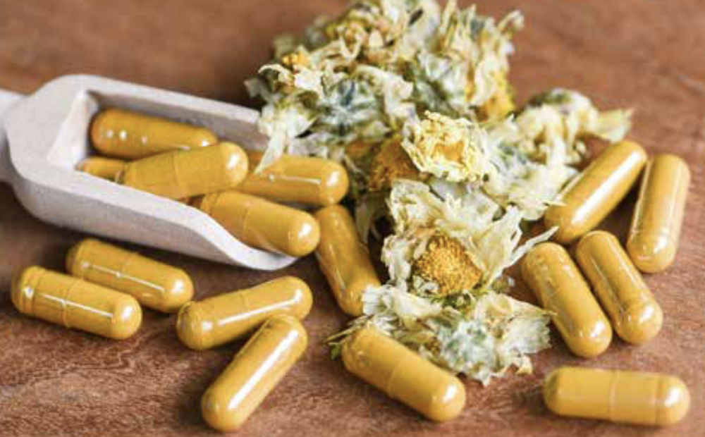 Nicoles Apothecary Bronchial Blend tincture herbs and flat tummy capsules
