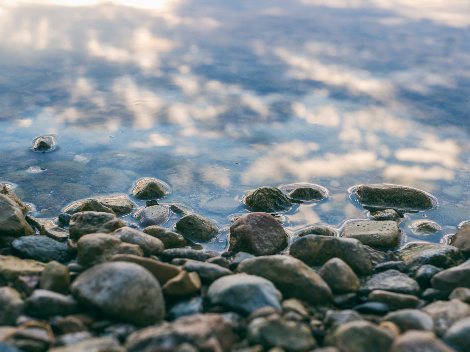 river rocks on bank