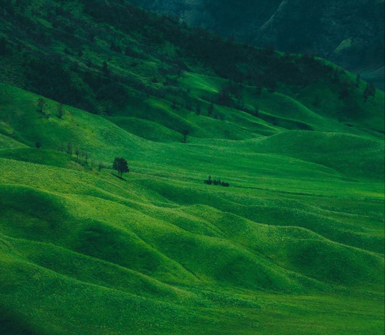 serene rolling green hills