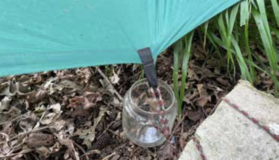 tarp rainwater collection tarp rainwater collection