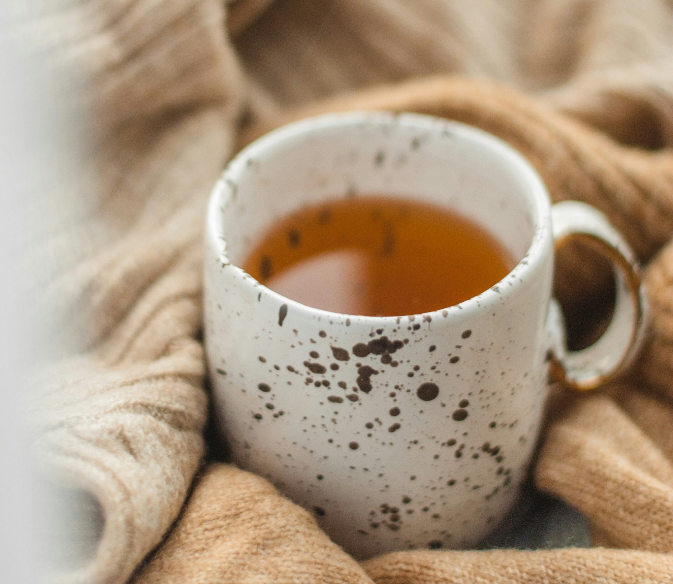 kateryna-hliznitsova-AE2_FndDfAU-unsplash Sassafras albidum