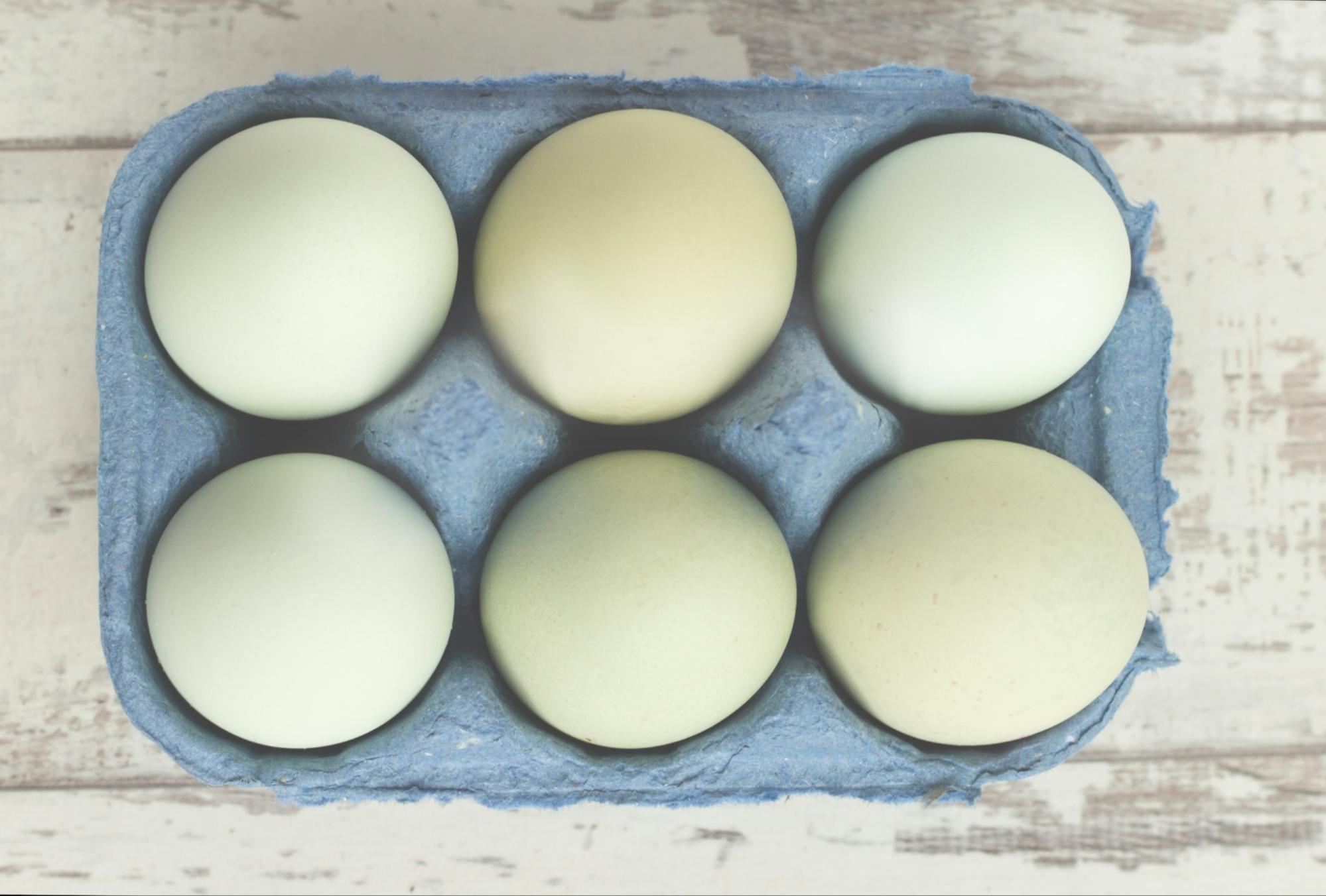 green eggs in carton