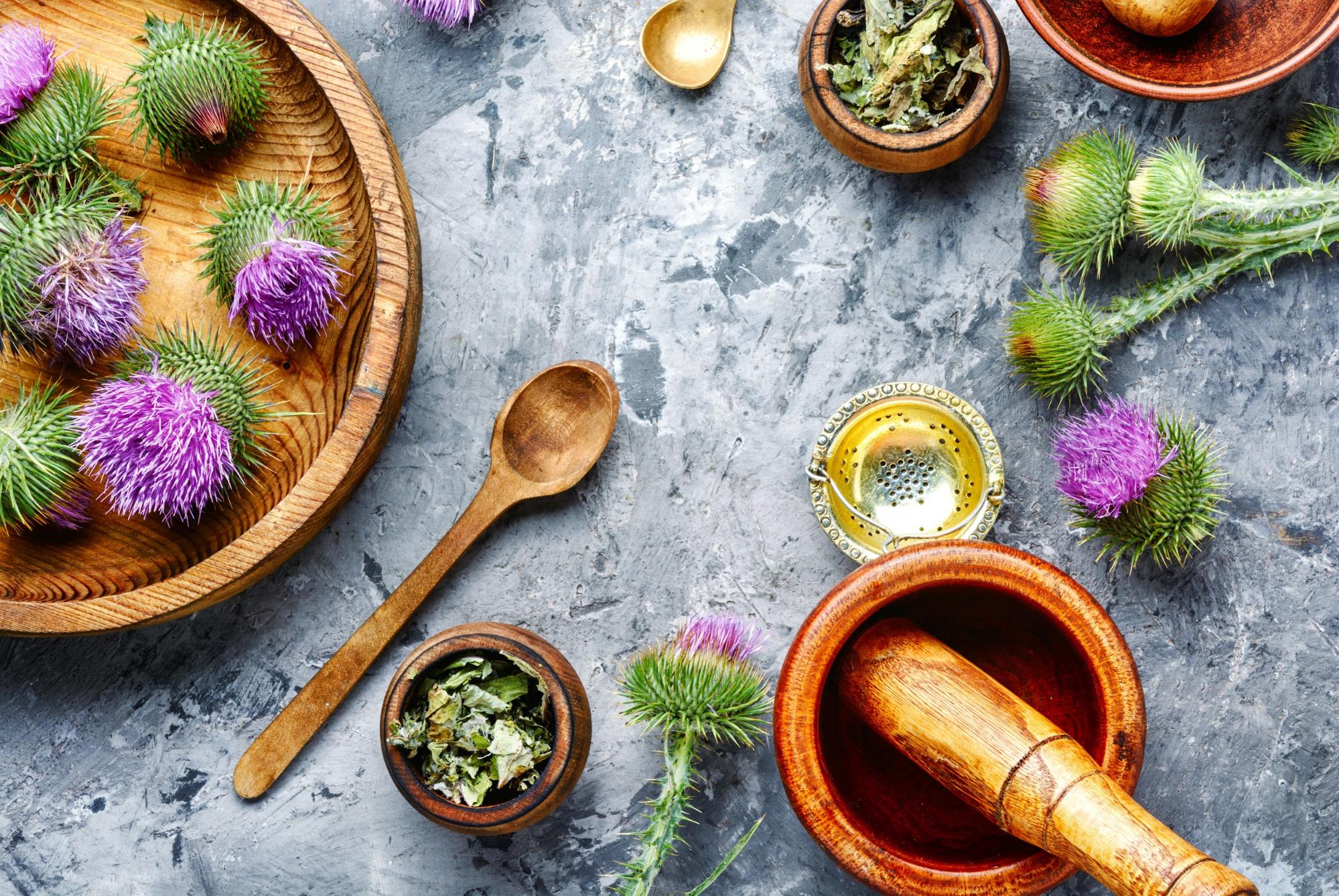 processing milk thistle heads