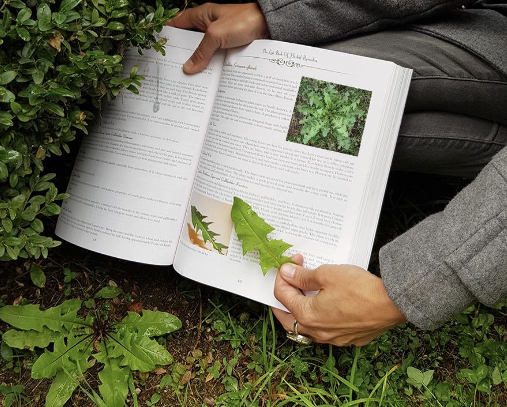 Nicole Apelian comparing leaves Lost Books