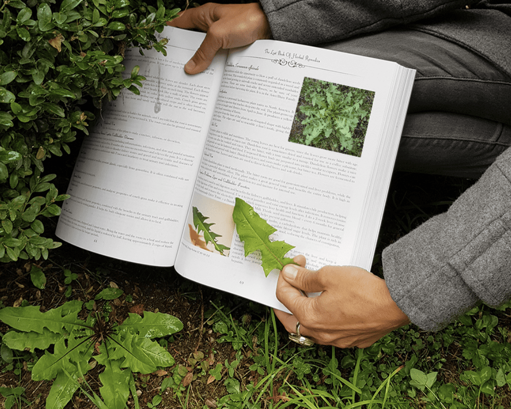 Nicole Apelian comparing leaves Lost Books Nicole Apelian comparing leaves Lost Books