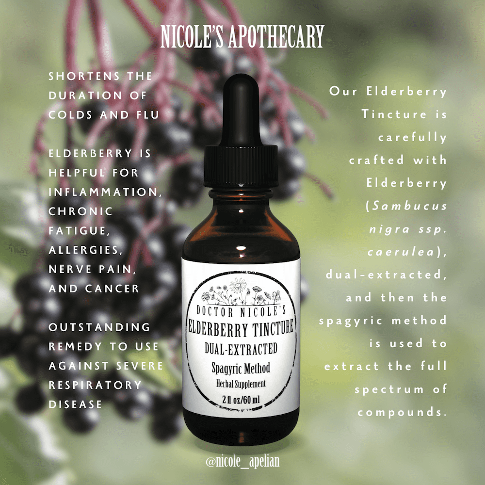 Nicole's Apothecary Elderberry Tincture information graphic