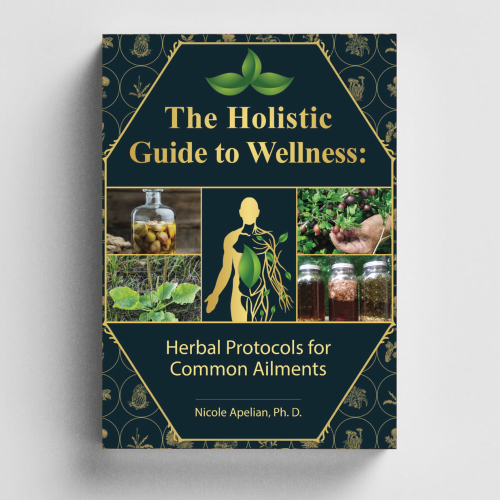 The Holistic Guide to Wellness