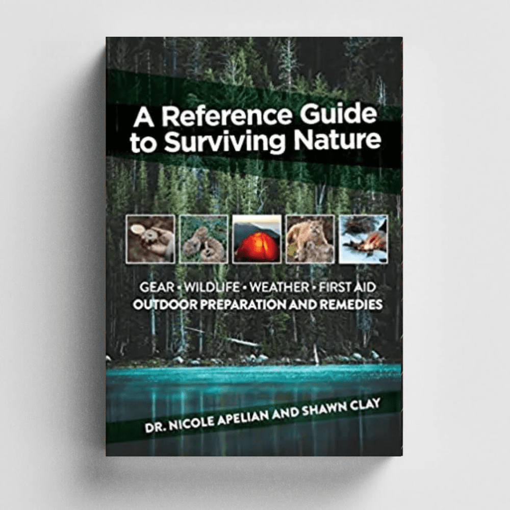 The Holistic Guide to Wellness