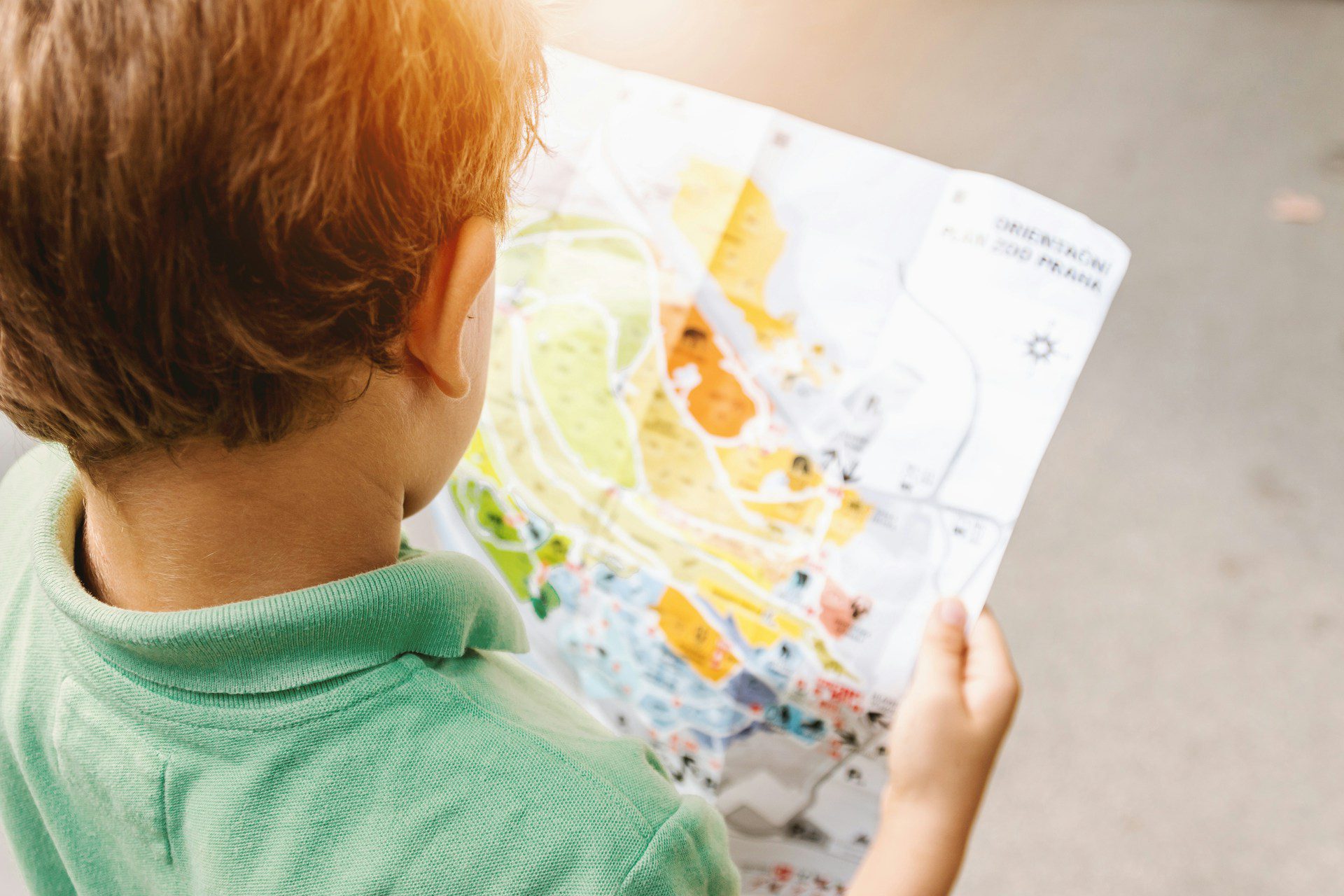 Is Autism a Metabolic Disorder?