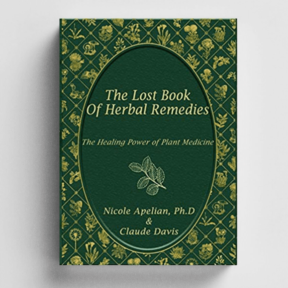 The Holistic Guide to Wellness
