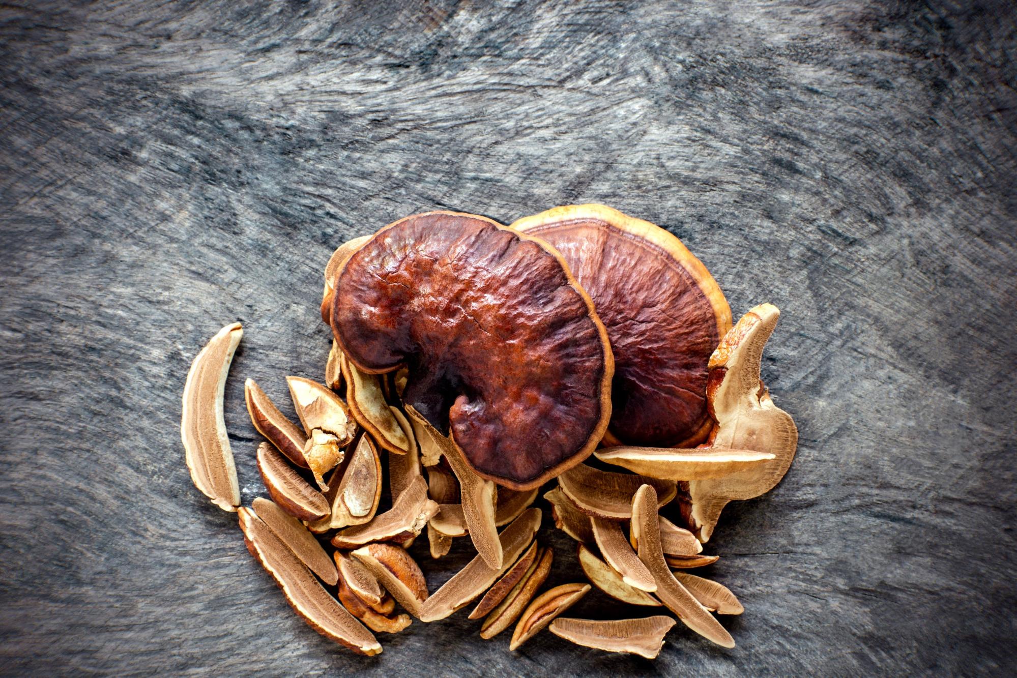 reishi mushroom reishi mushroom