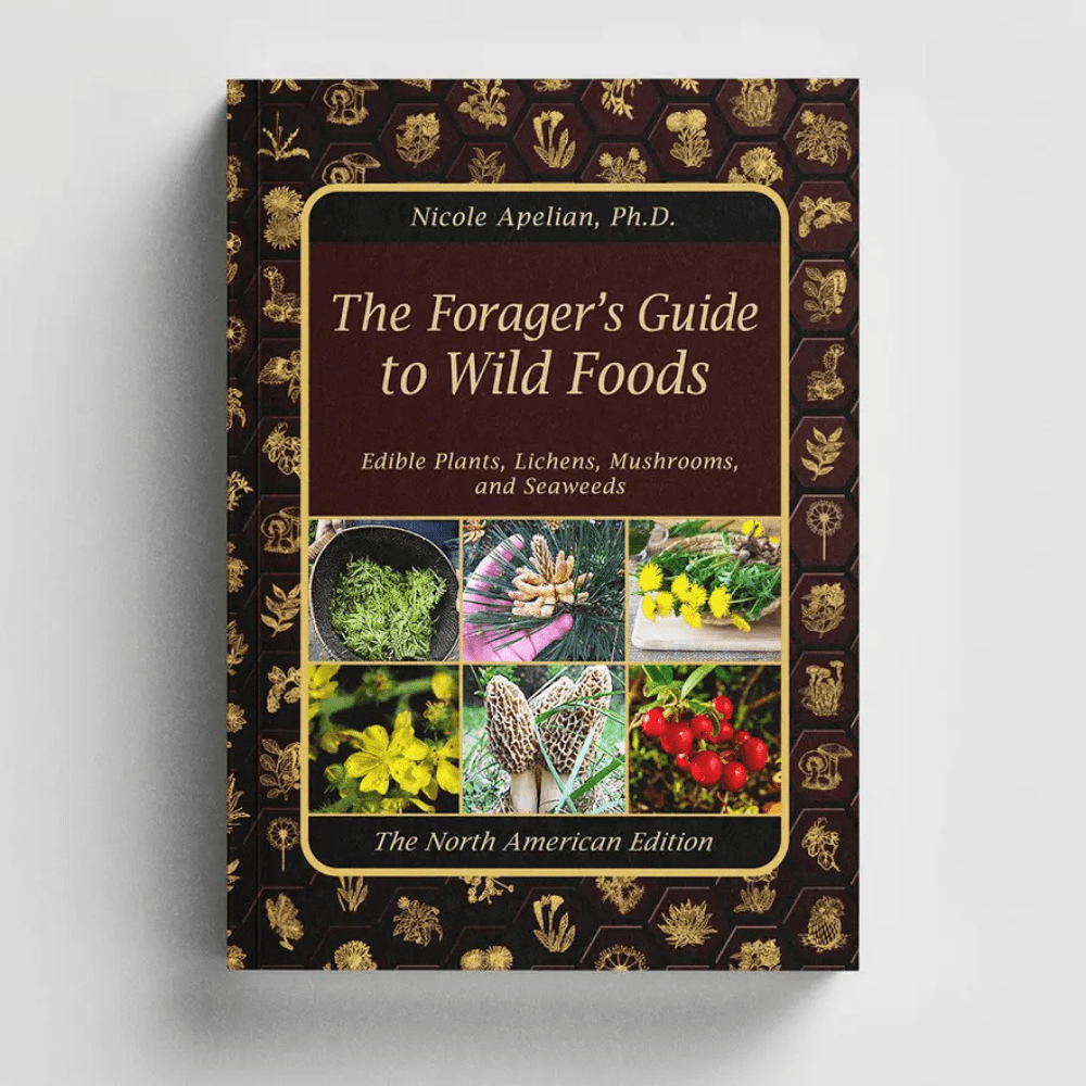 The Holistic Guide to Wellness