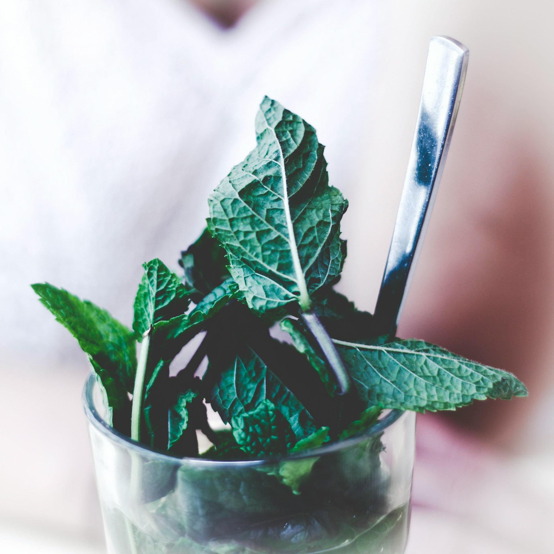 peppermint leaves in glass with spoon