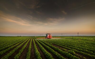 CDC Finds Glyphosate in 80% of Americans — Here’s How to Protect Yourself