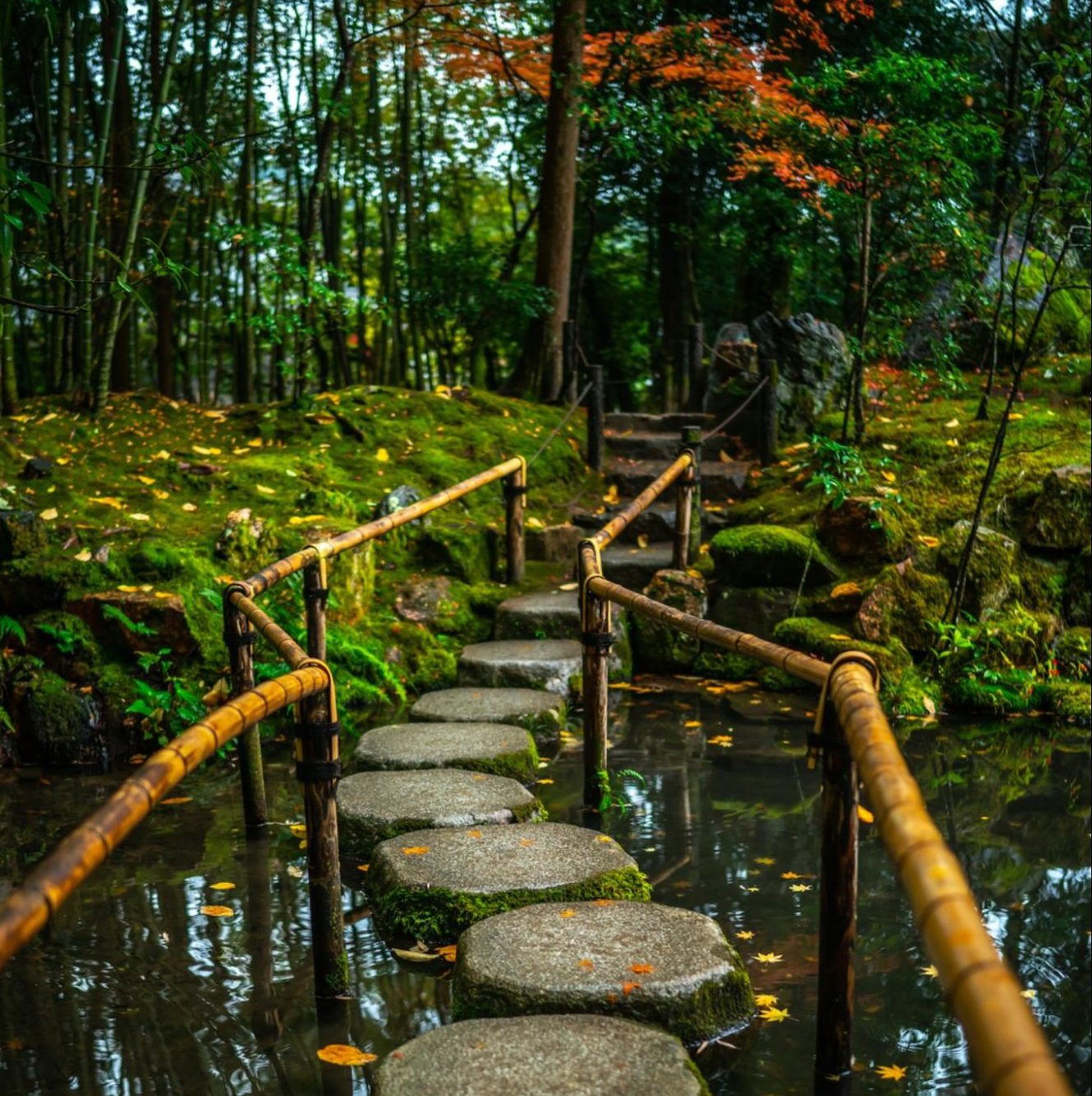stone path across creek