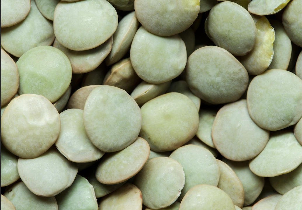 dried lima beans dried lima beans