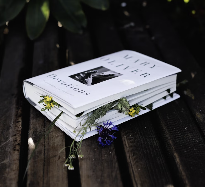 mary oliver book pressing flowers mary oliver book pressing flowers