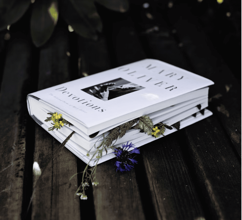 mary oliver book pressing flowers