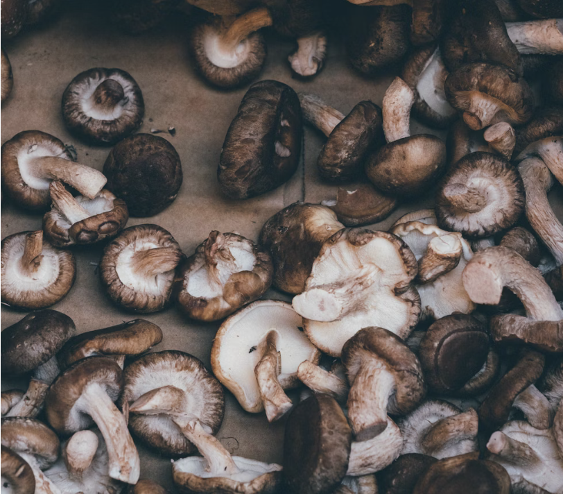 mushrooms cutting board mushrooms on a cutting board