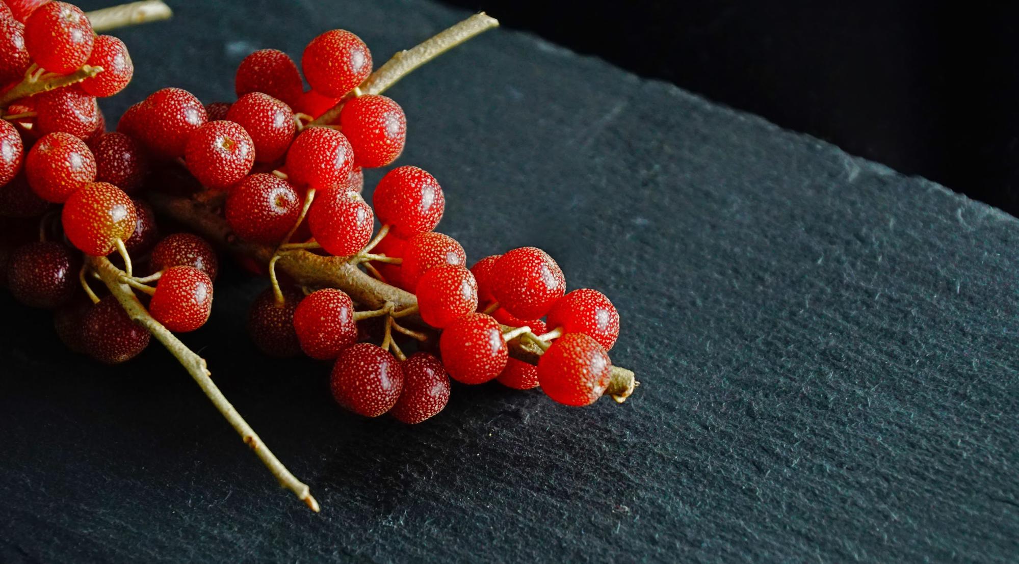 schisandra berries