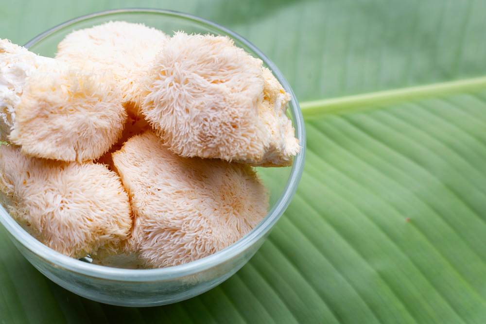 Nicoles Apothecary Bronchial Blend tincture bowl of lion's mane mushrooms on a banana leaf